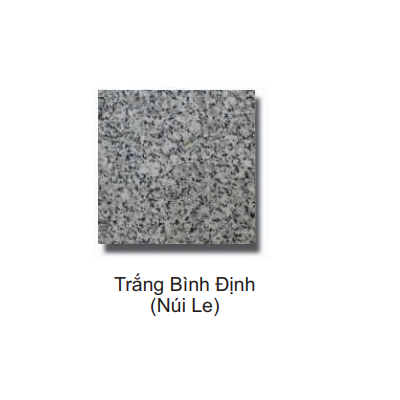 Sàn Carbin đá Granite 05